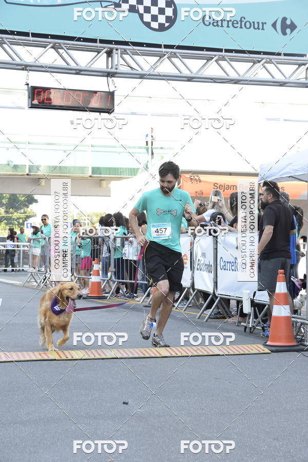 Buy your photos of the event2 Pet Run Shopping Eldorado  on Fotop