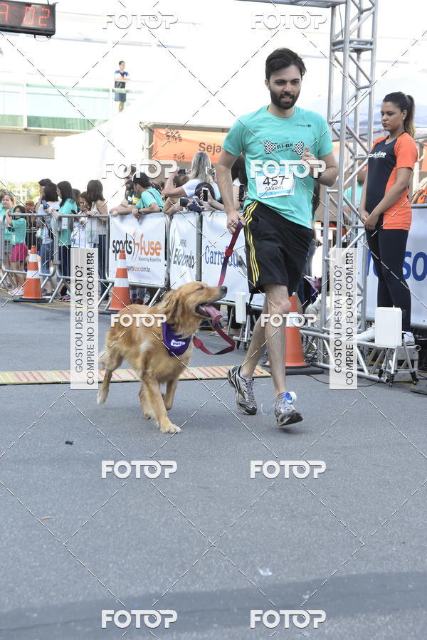 Buy your photos of the event2 Pet Run Shopping Eldorado  on Fotop