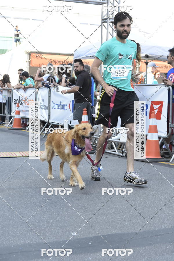 Buy your photos of the event2 Pet Run Shopping Eldorado  on Fotop