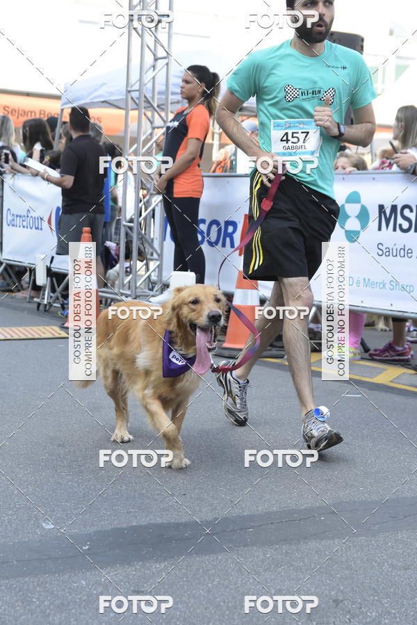 Buy your photos of the event2 Pet Run Shopping Eldorado  on Fotop
