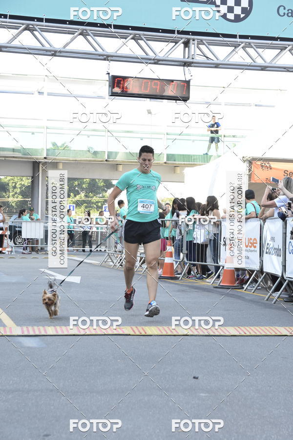 Buy your photos of the event2 Pet Run Shopping Eldorado  on Fotop