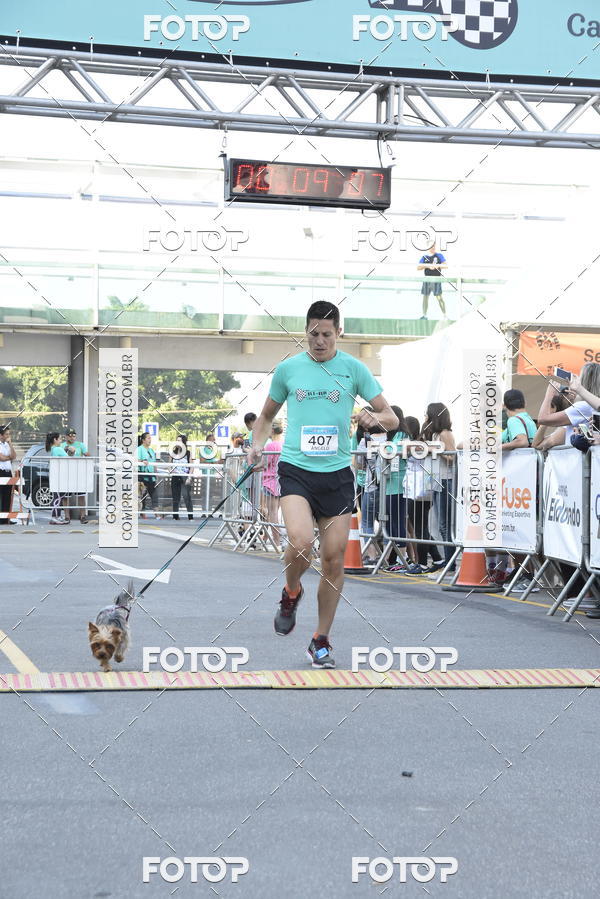 Buy your photos of the event2 Pet Run Shopping Eldorado  on Fotop