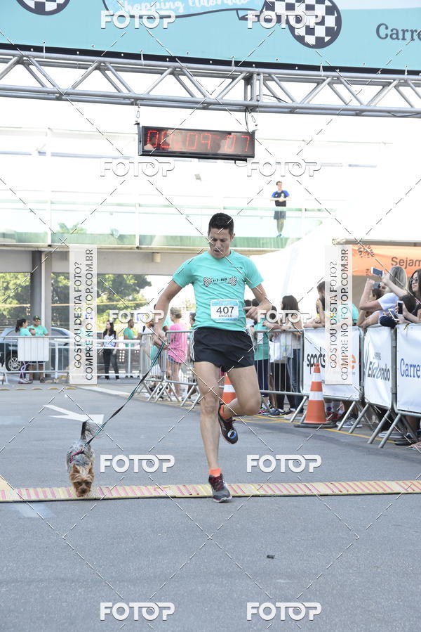 Buy your photos of the event2 Pet Run Shopping Eldorado  on Fotop