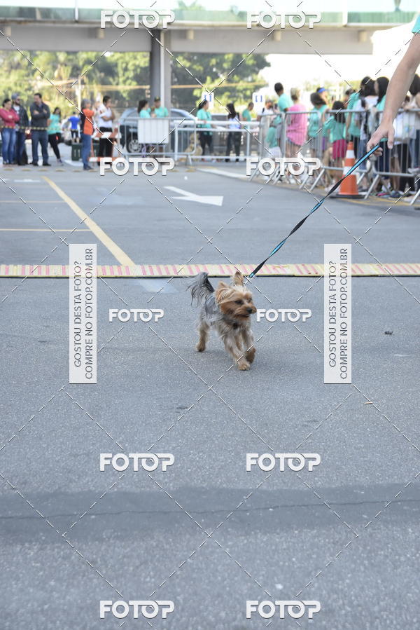 Buy your photos of the event2 Pet Run Shopping Eldorado  on Fotop