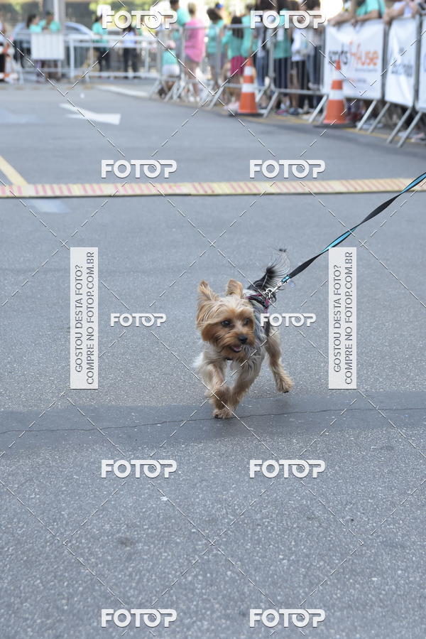 Buy your photos of the event2 Pet Run Shopping Eldorado  on Fotop