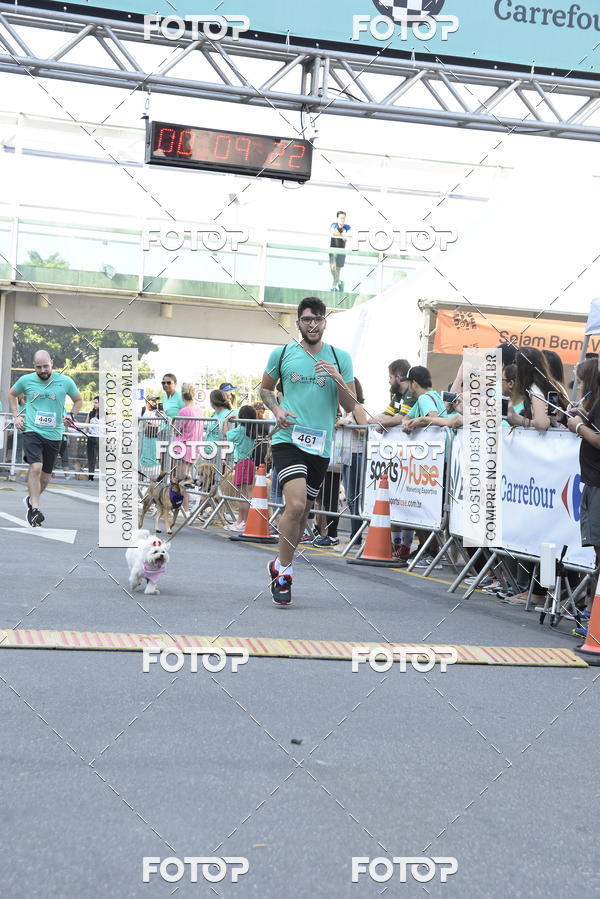 Buy your photos of the event2 Pet Run Shopping Eldorado  on Fotop