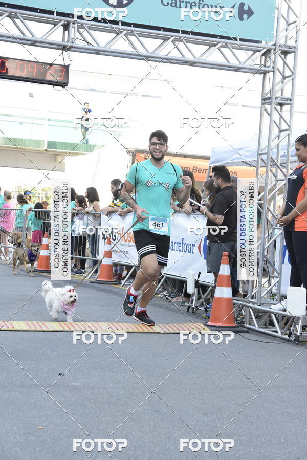 Buy your photos of the event2 Pet Run Shopping Eldorado  on Fotop