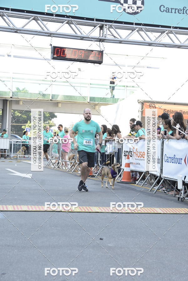 Buy your photos of the event2 Pet Run Shopping Eldorado  on Fotop