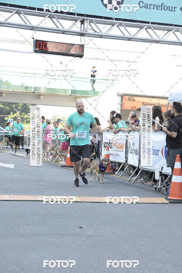 Buy your photos of the event2 Pet Run Shopping Eldorado  on Fotop