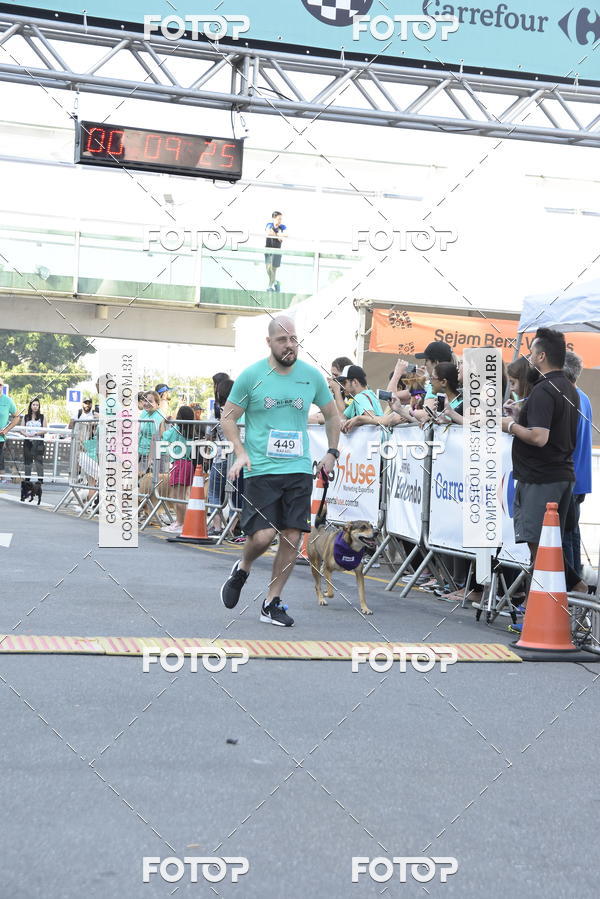 Buy your photos of the event2 Pet Run Shopping Eldorado  on Fotop