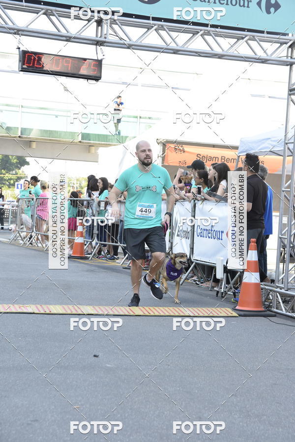Buy your photos of the event2 Pet Run Shopping Eldorado  on Fotop