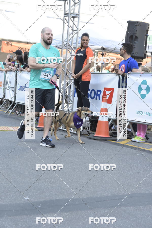 Buy your photos of the event2 Pet Run Shopping Eldorado  on Fotop