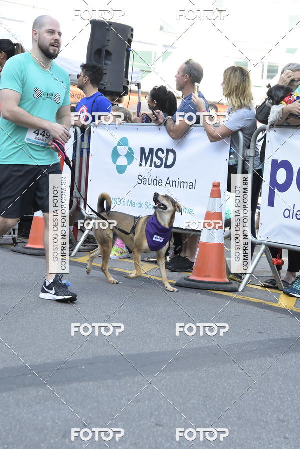 Buy your photos of the event2 Pet Run Shopping Eldorado  on Fotop