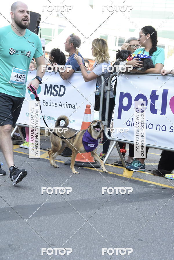 Buy your photos of the event2 Pet Run Shopping Eldorado  on Fotop