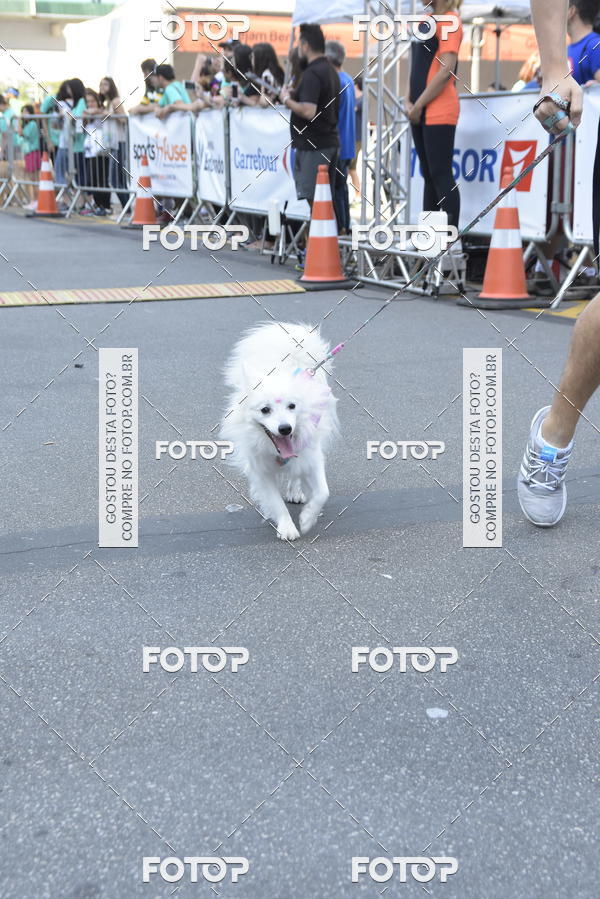 Buy your photos of the event2 Pet Run Shopping Eldorado  on Fotop