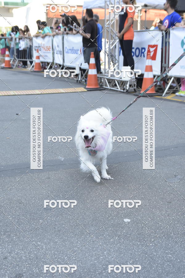 Buy your photos of the event2 Pet Run Shopping Eldorado  on Fotop