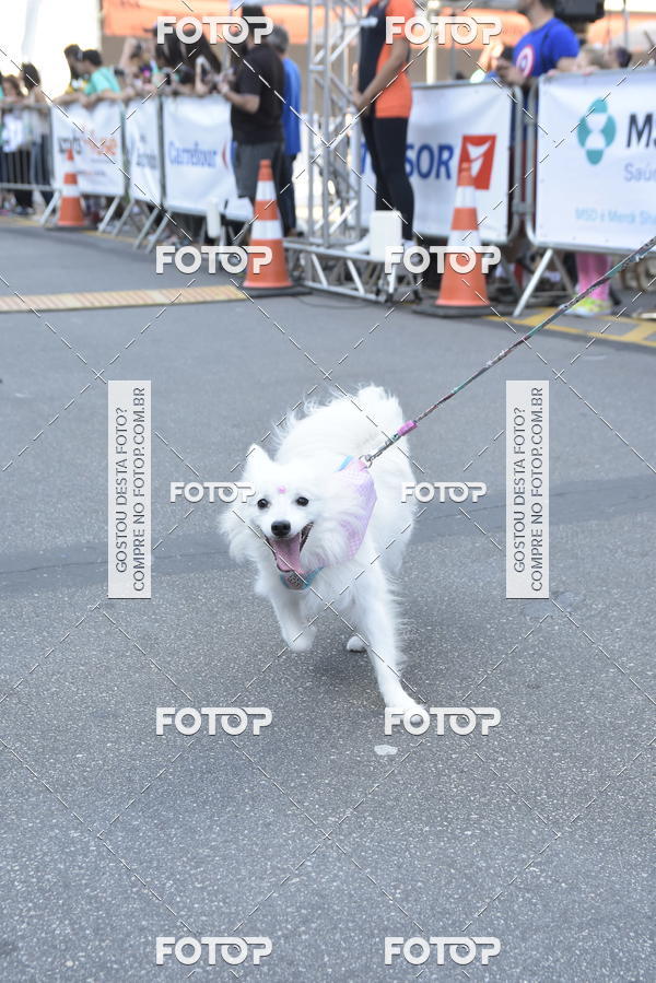 Buy your photos of the event2 Pet Run Shopping Eldorado  on Fotop