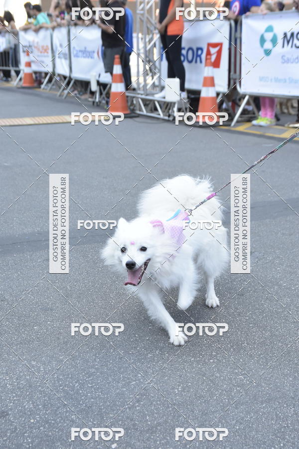Buy your photos of the event2 Pet Run Shopping Eldorado  on Fotop