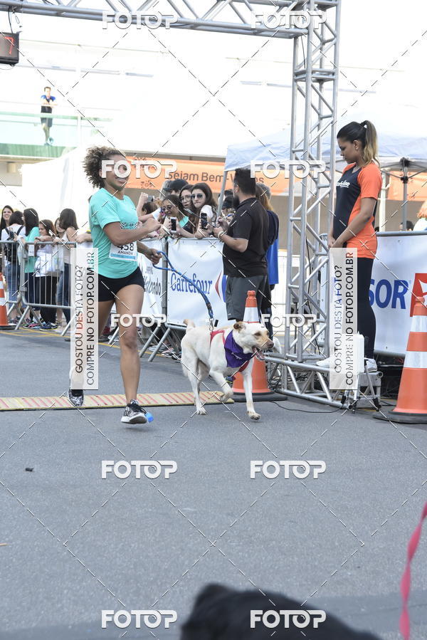 Buy your photos of the event2 Pet Run Shopping Eldorado  on Fotop
