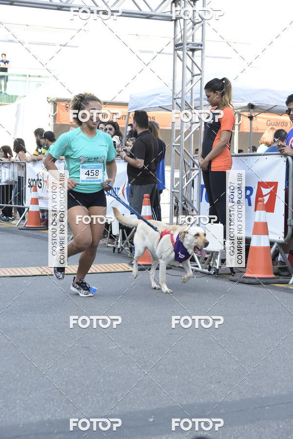 Buy your photos of the event2 Pet Run Shopping Eldorado  on Fotop