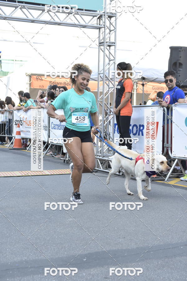 Buy your photos of the event2 Pet Run Shopping Eldorado  on Fotop