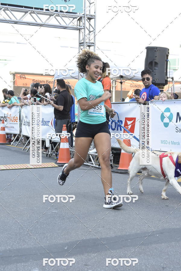 Buy your photos of the event2 Pet Run Shopping Eldorado  on Fotop
