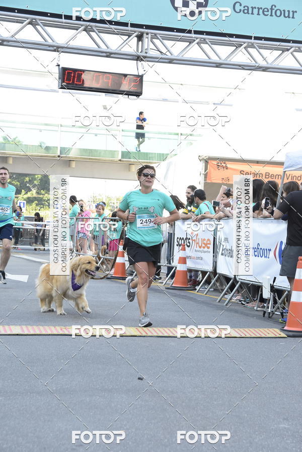 Buy your photos of the event2 Pet Run Shopping Eldorado  on Fotop