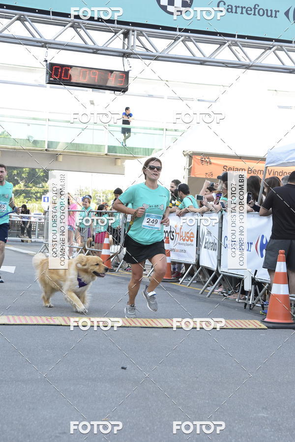 Buy your photos of the event2 Pet Run Shopping Eldorado  on Fotop