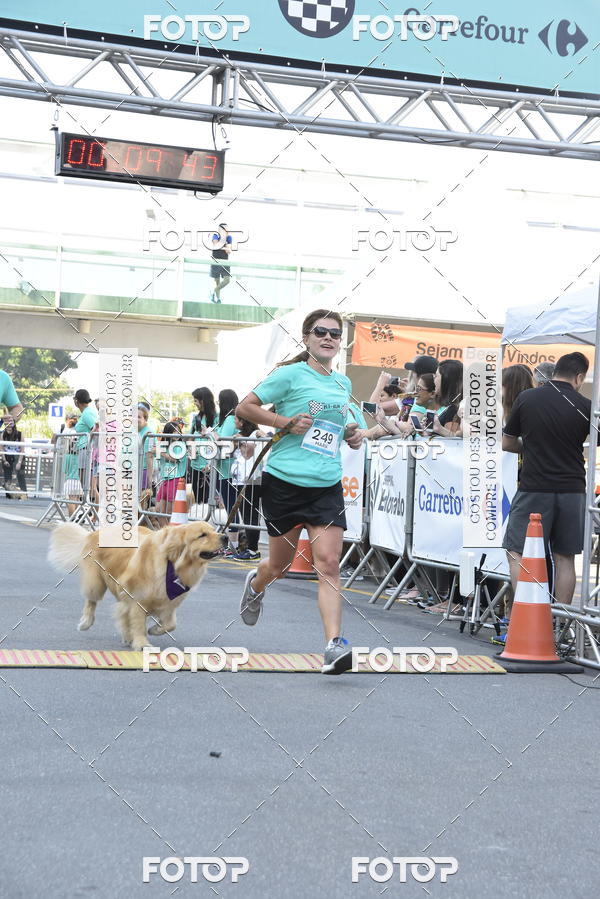 Buy your photos of the event2 Pet Run Shopping Eldorado  on Fotop