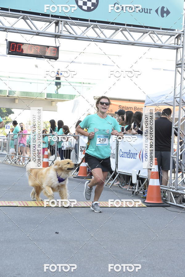 Buy your photos of the event2 Pet Run Shopping Eldorado  on Fotop