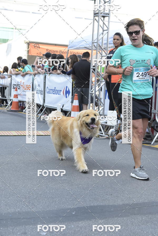 Buy your photos of the event2 Pet Run Shopping Eldorado  on Fotop