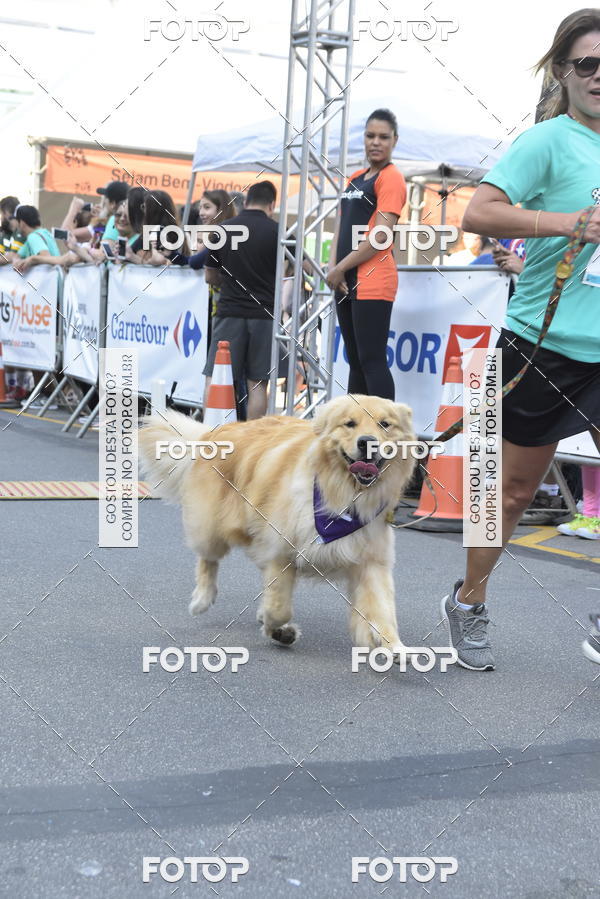 Buy your photos of the event2 Pet Run Shopping Eldorado  on Fotop