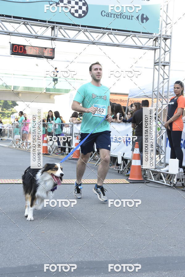 Buy your photos of the event2 Pet Run Shopping Eldorado  on Fotop