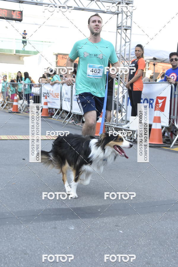 Buy your photos of the event2 Pet Run Shopping Eldorado  on Fotop