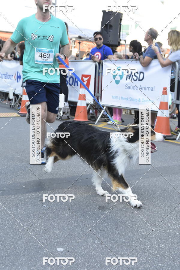 Buy your photos of the event2 Pet Run Shopping Eldorado  on Fotop