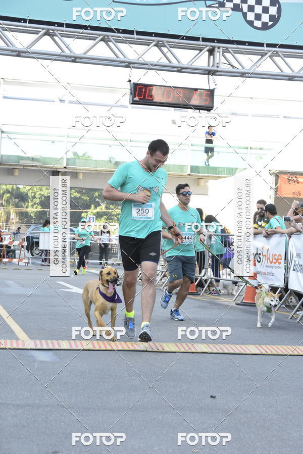 Buy your photos of the event2 Pet Run Shopping Eldorado  on Fotop