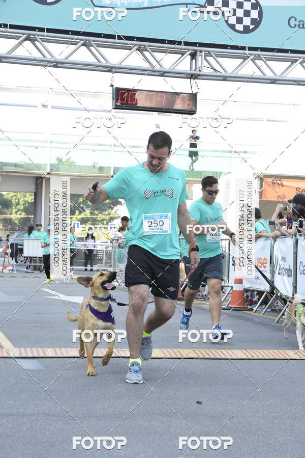 Buy your photos of the event2 Pet Run Shopping Eldorado  on Fotop