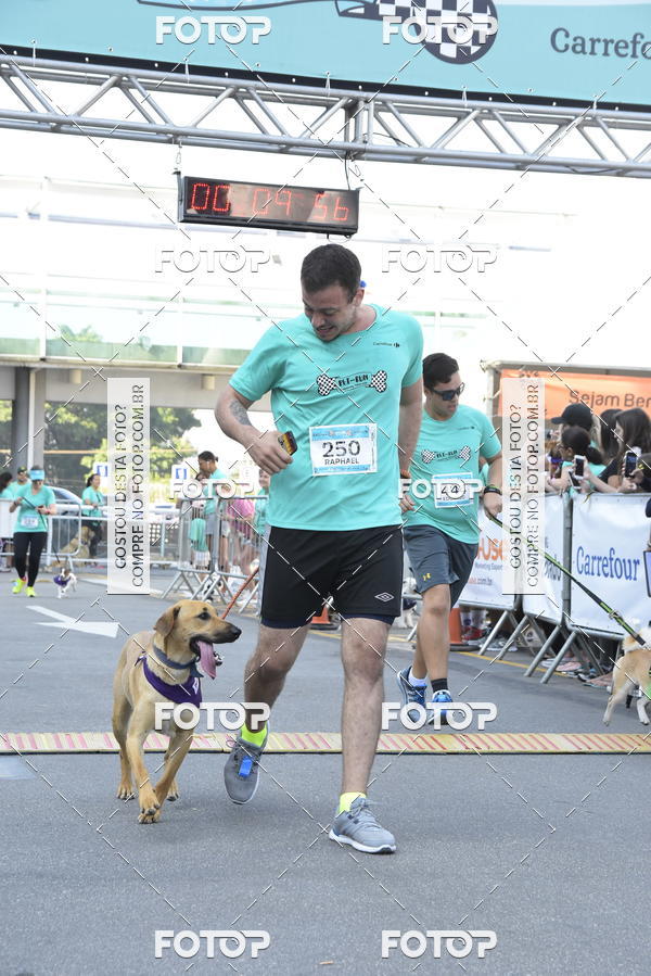Buy your photos of the event2 Pet Run Shopping Eldorado  on Fotop