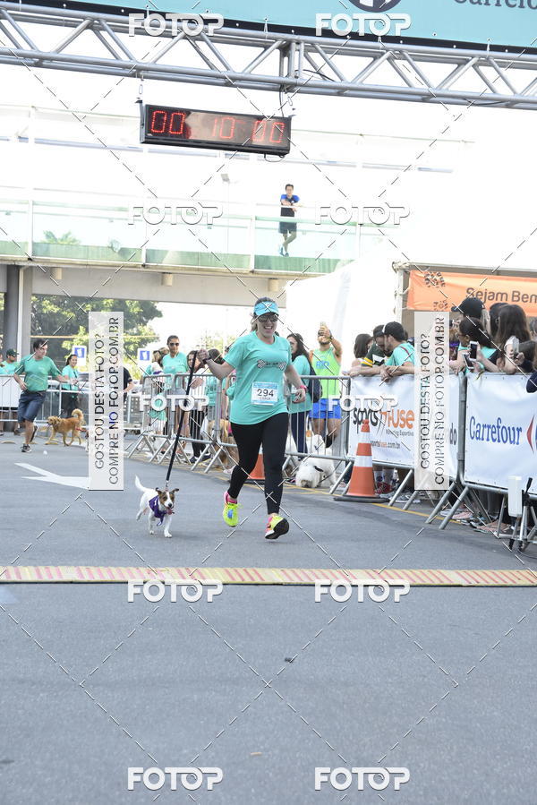 Buy your photos of the event2 Pet Run Shopping Eldorado  on Fotop