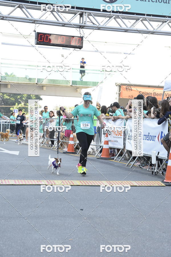 Buy your photos of the event2 Pet Run Shopping Eldorado  on Fotop