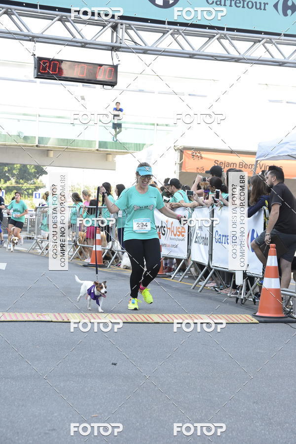 Buy your photos of the event2 Pet Run Shopping Eldorado  on Fotop