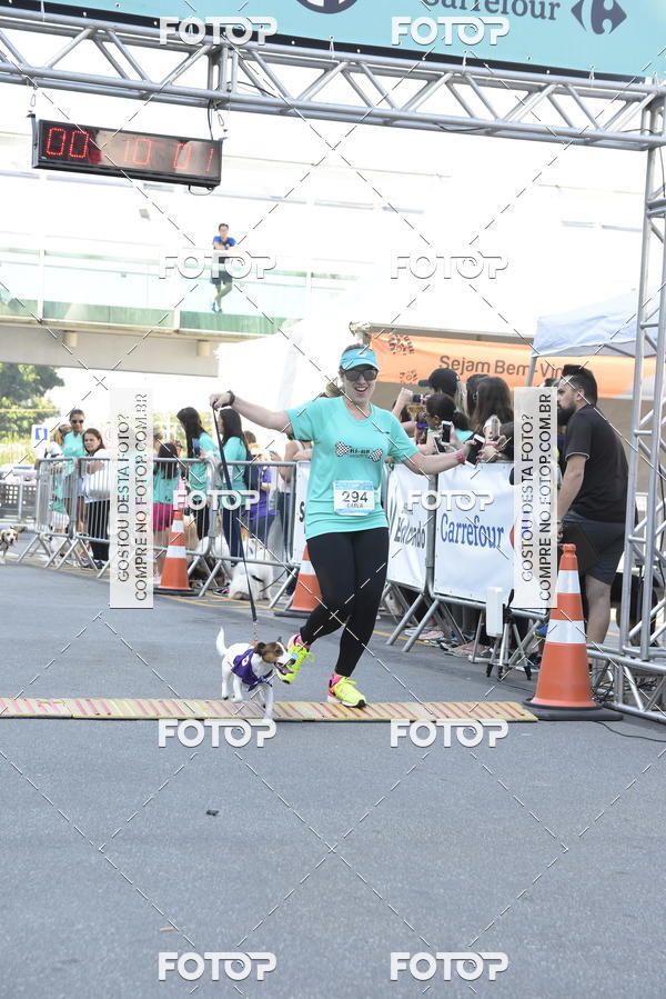 Buy your photos of the event2 Pet Run Shopping Eldorado  on Fotop