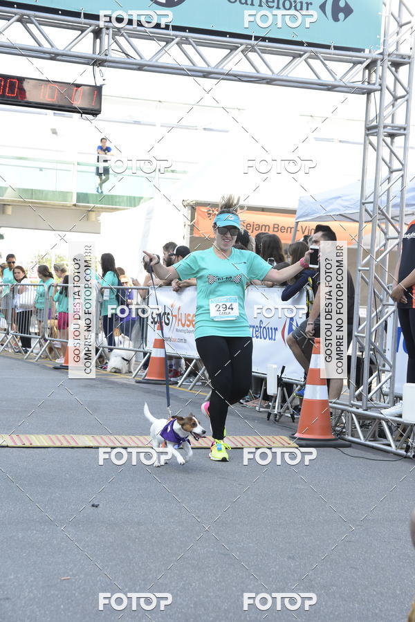 Buy your photos of the event2 Pet Run Shopping Eldorado  on Fotop