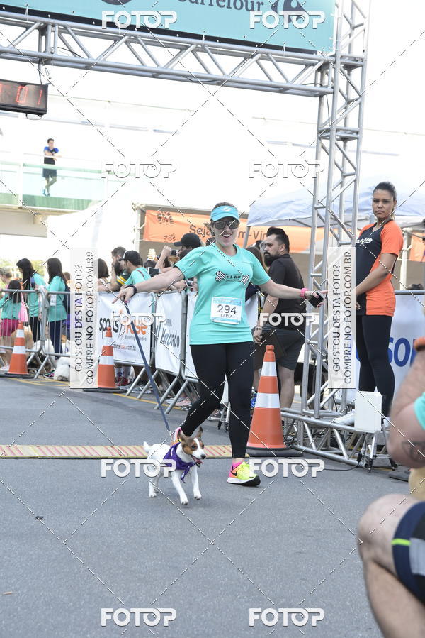 Buy your photos of the event2 Pet Run Shopping Eldorado  on Fotop