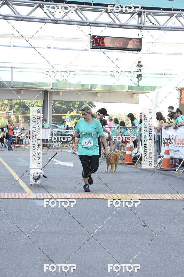 Buy your photos of the event2 Pet Run Shopping Eldorado  on Fotop
