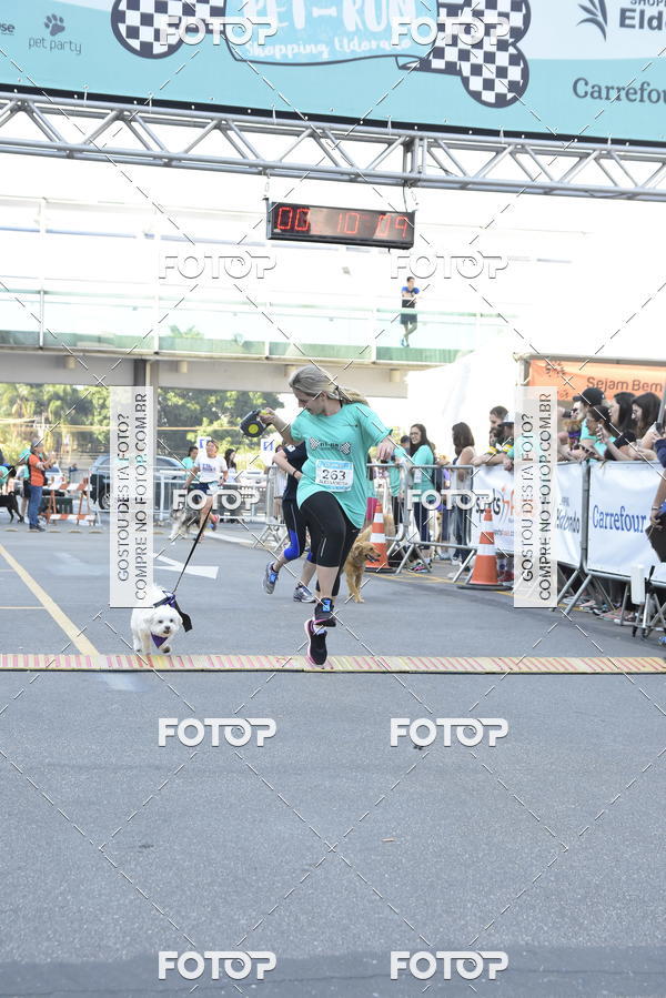 Buy your photos of the event2 Pet Run Shopping Eldorado  on Fotop