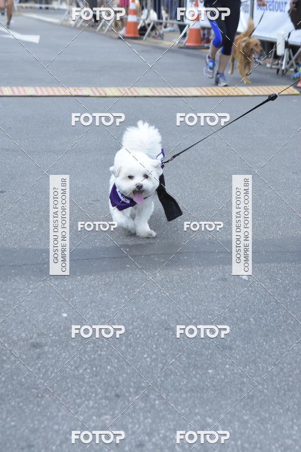 Buy your photos of the event2 Pet Run Shopping Eldorado  on Fotop