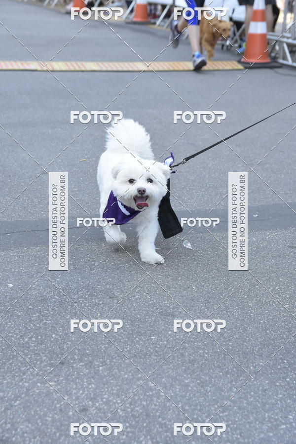 Buy your photos of the event2 Pet Run Shopping Eldorado  on Fotop