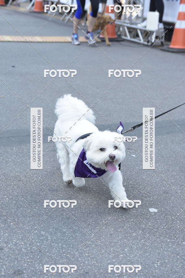 Buy your photos of the event2 Pet Run Shopping Eldorado  on Fotop