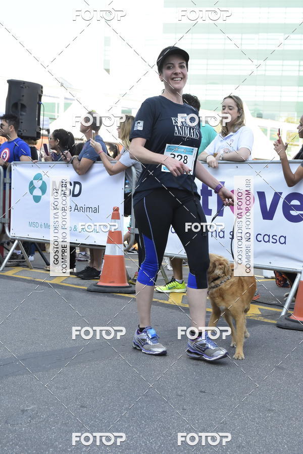 Buy your photos of the event2 Pet Run Shopping Eldorado  on Fotop